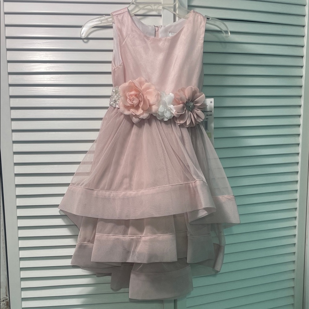 Rare Editions Light Pink Floral Waist Tulle Dress